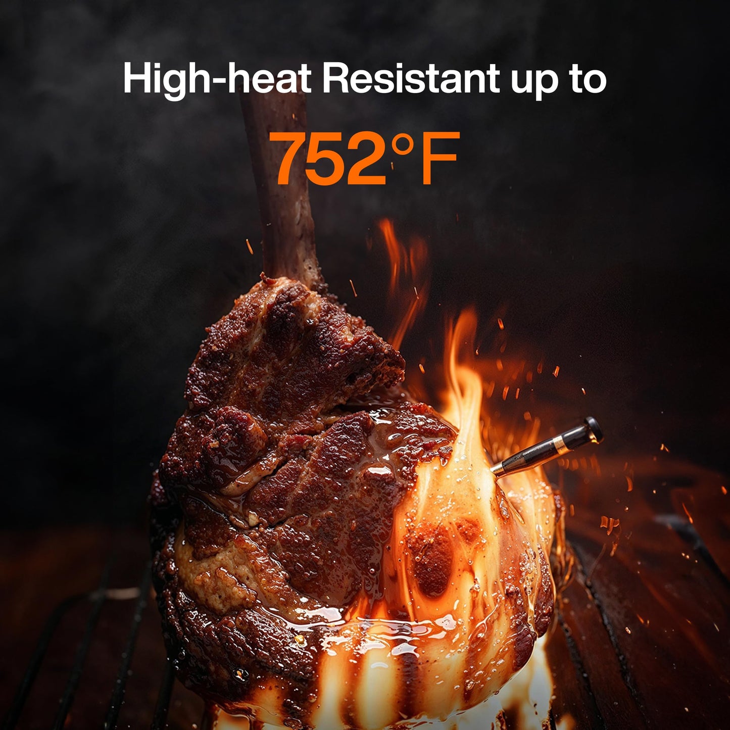 Wireless Meat Thermometer!