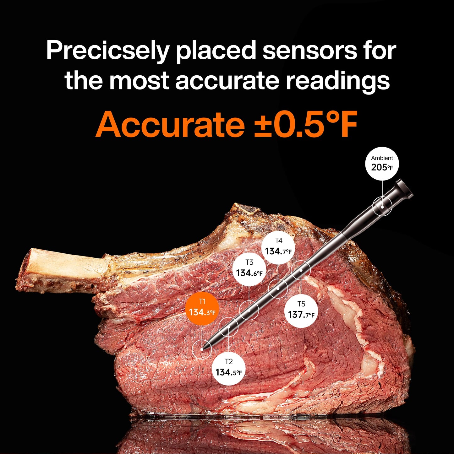 Wireless Meat Thermometer!